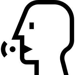 Voice Logs